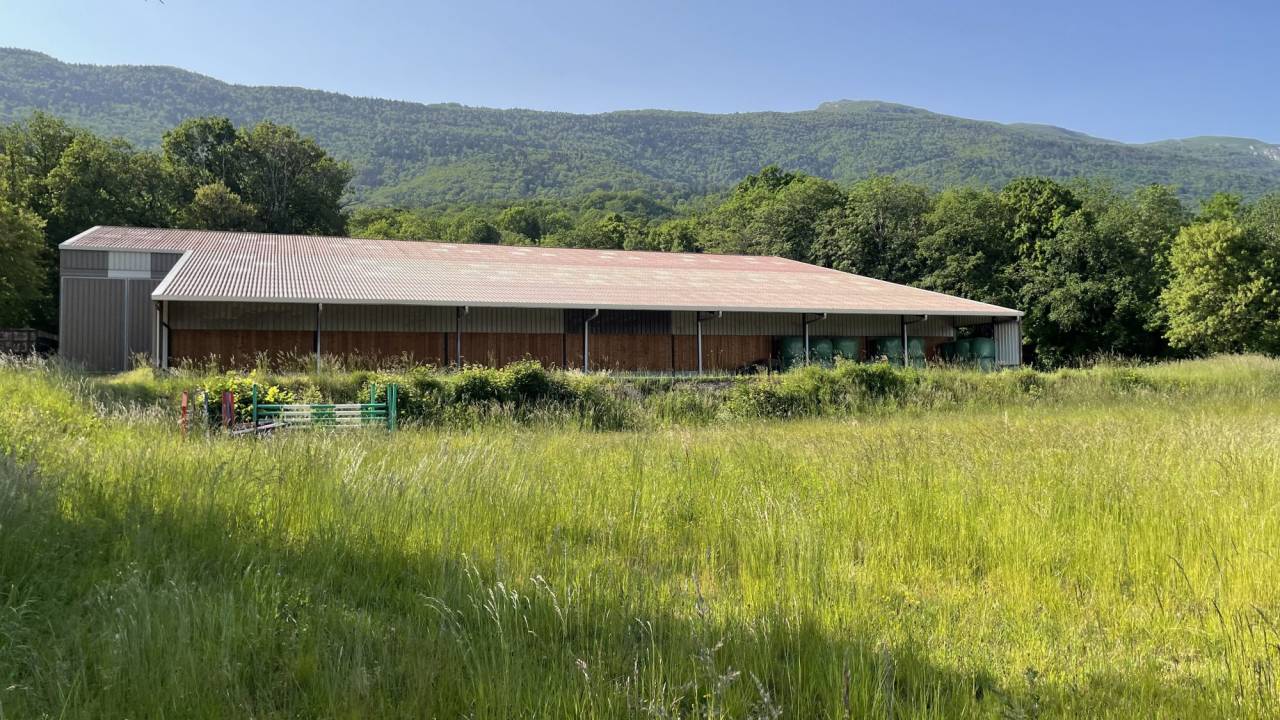 Cuadra de propietarios En venta Ain