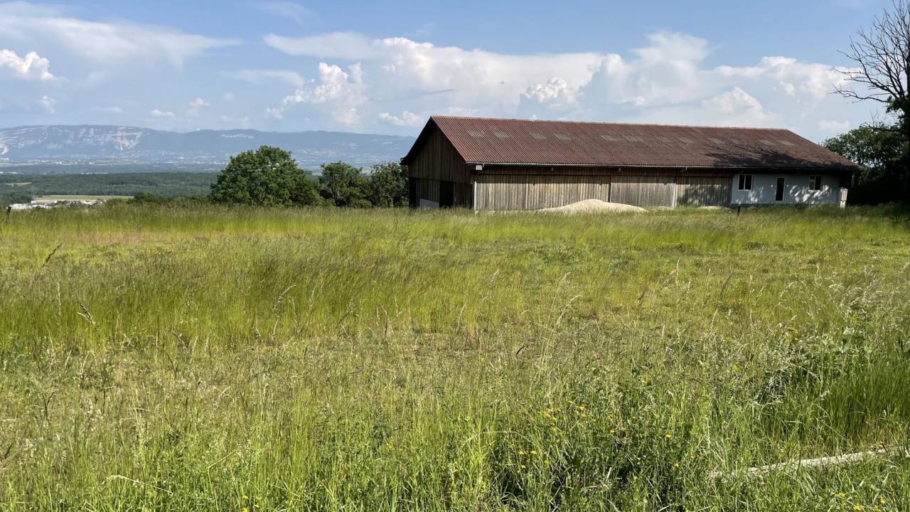 Cuadra de propietarios En venta Ain