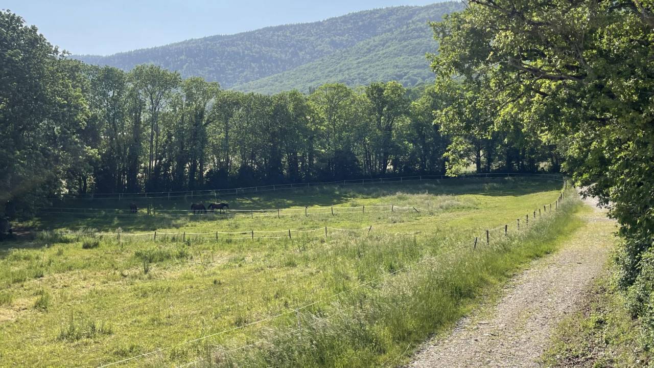 Cuadra de propietarios En venta Ain