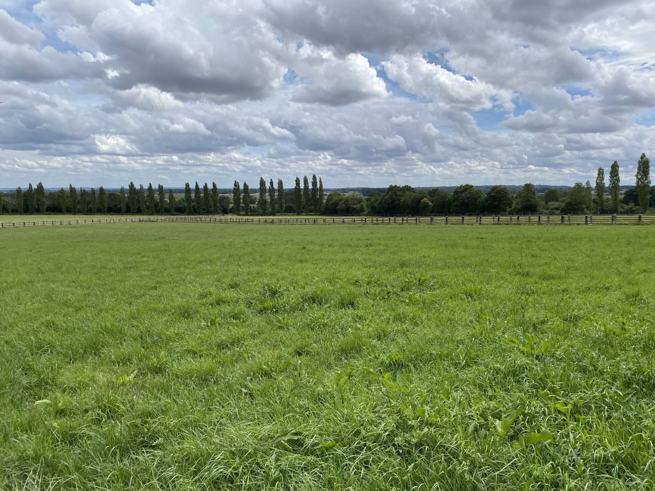 Acaballadero En venta Calvados