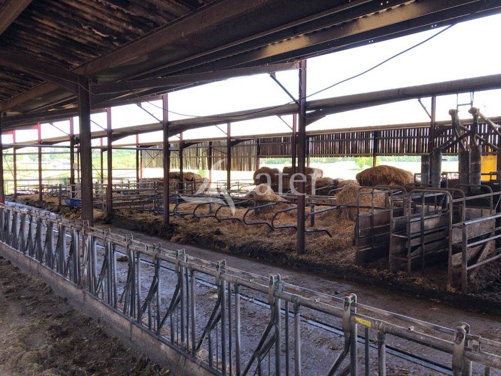 Explotación lechera En venta Dordoña