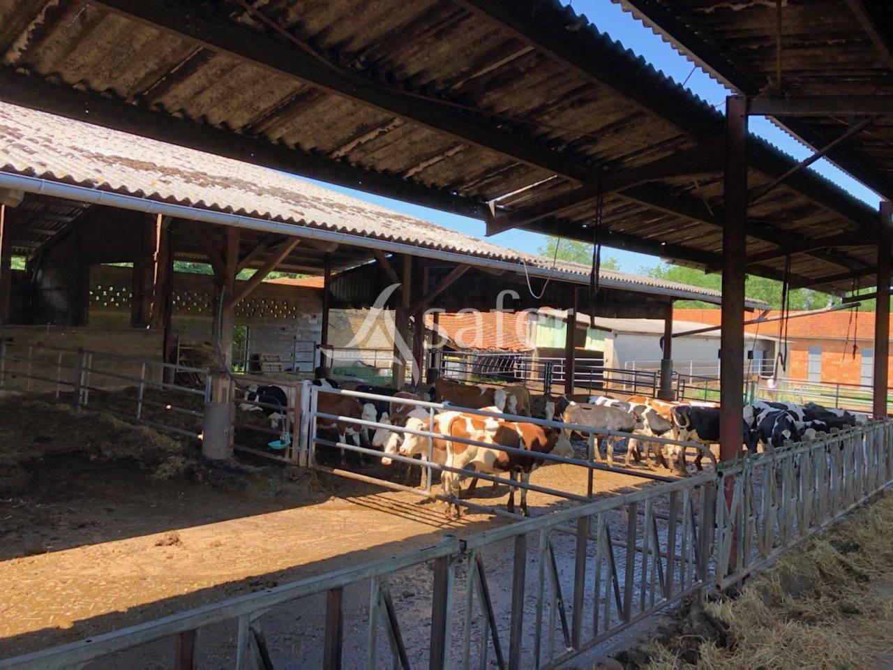 Explotación lechera En venta Dordoña