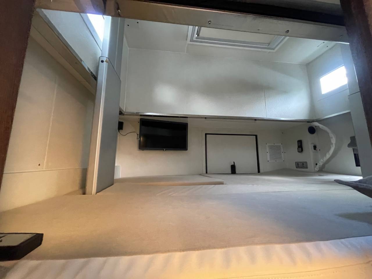 Camión para caballos Daf DAF 0 Nuevo