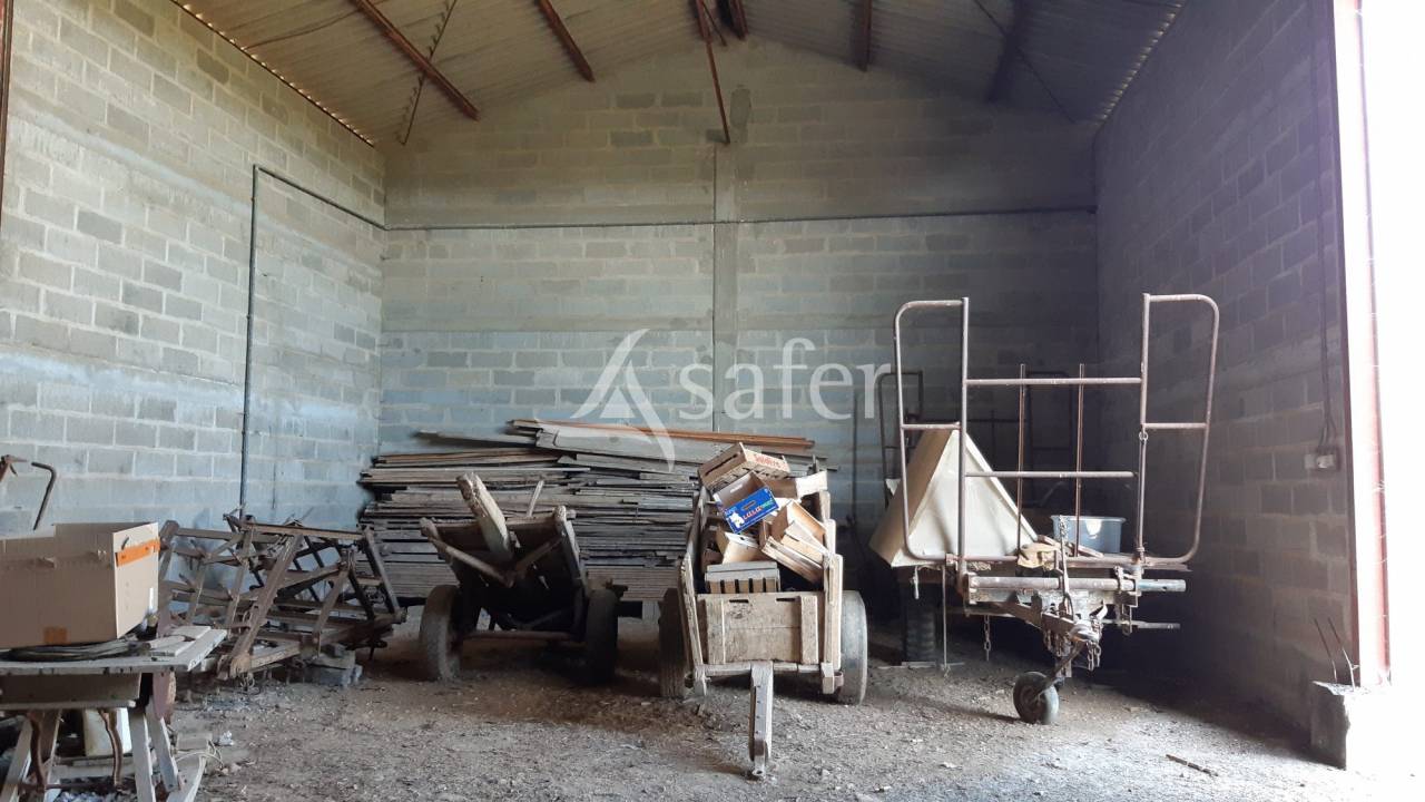 Explotación agrícola En venta Charente Marítimo