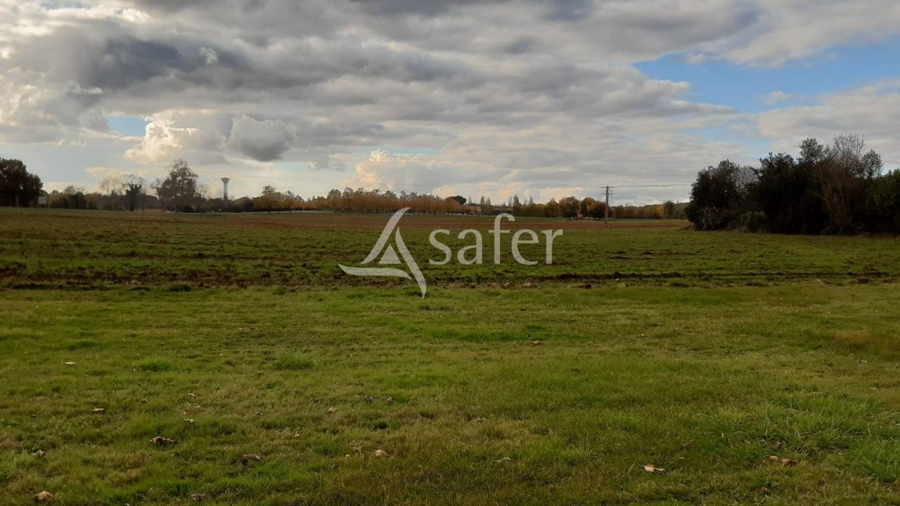 Explotación agrícola En venta Charente Marítimo