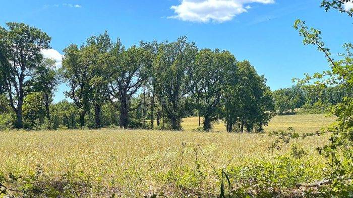 Propiedad ecuestre En venta Var