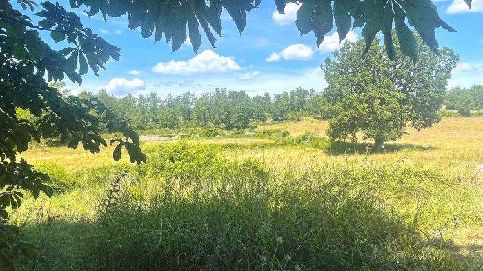 Propiedad ecuestre En venta Var