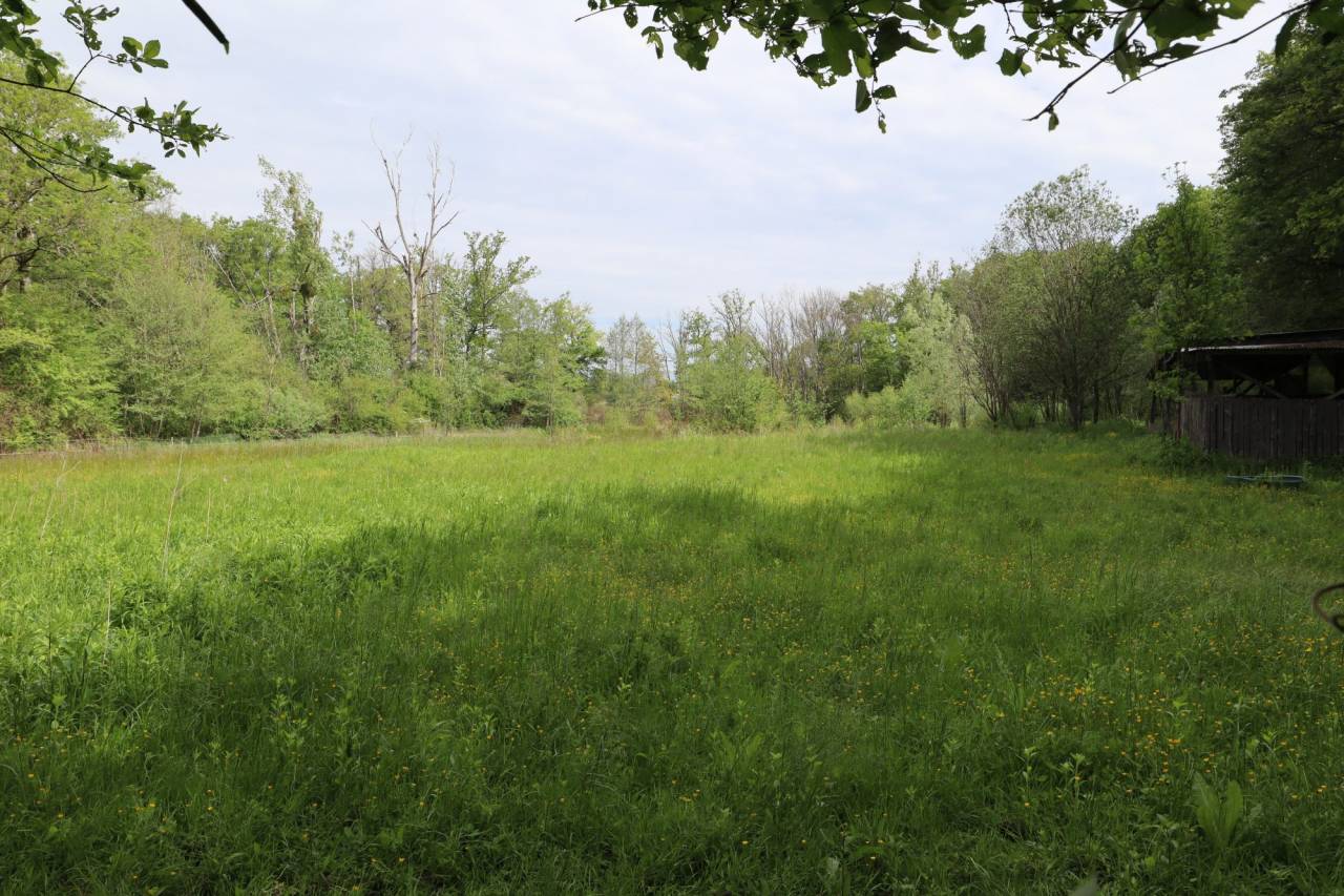 Propiedad ecuestre En venta 