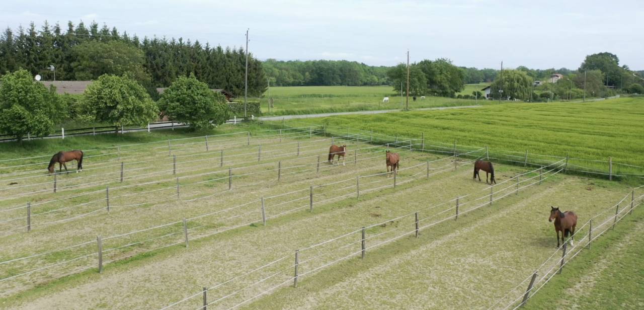 Propiedad ecuestre En venta 