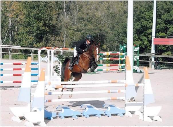 Potro Silla Francés En venta 2023 Bayo moreno por Quel homme de Hus