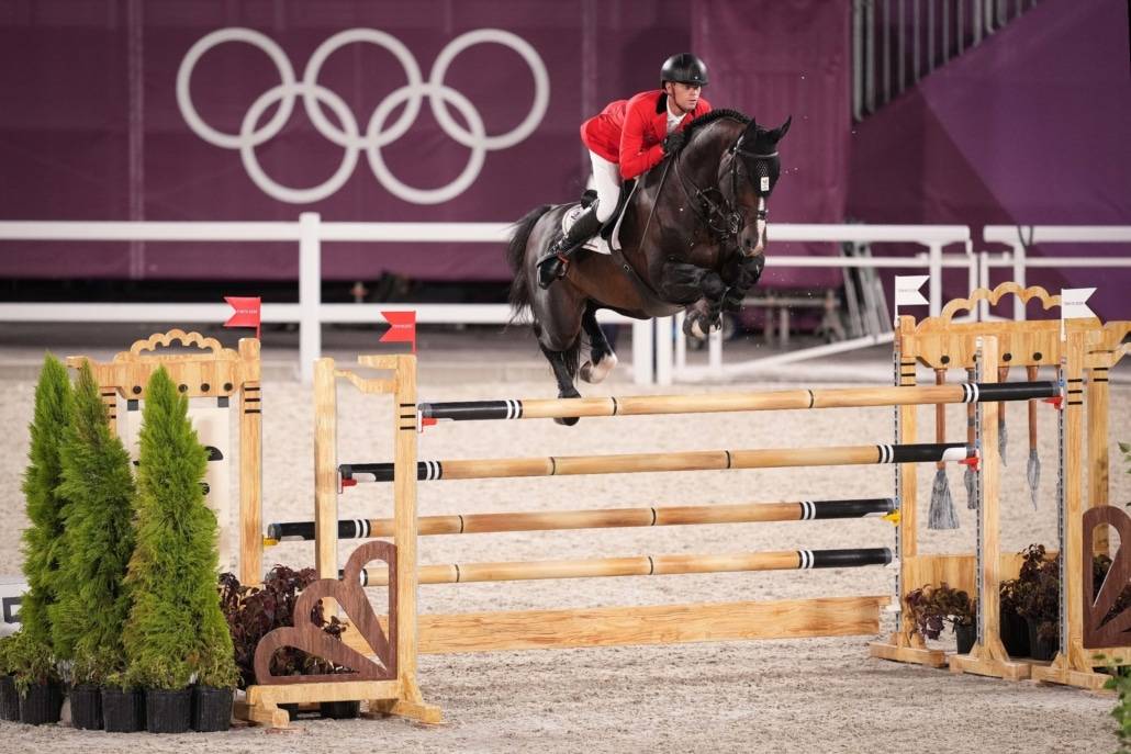 Potro Silla Francés En venta 2023 Bayo moreno por Quel homme de Hus