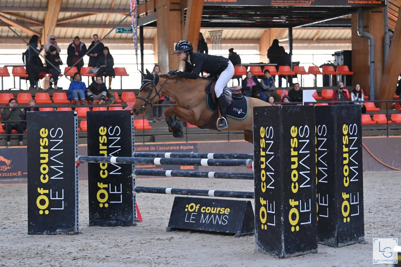 Yegua New Forest Préstamo 2011 Alazán