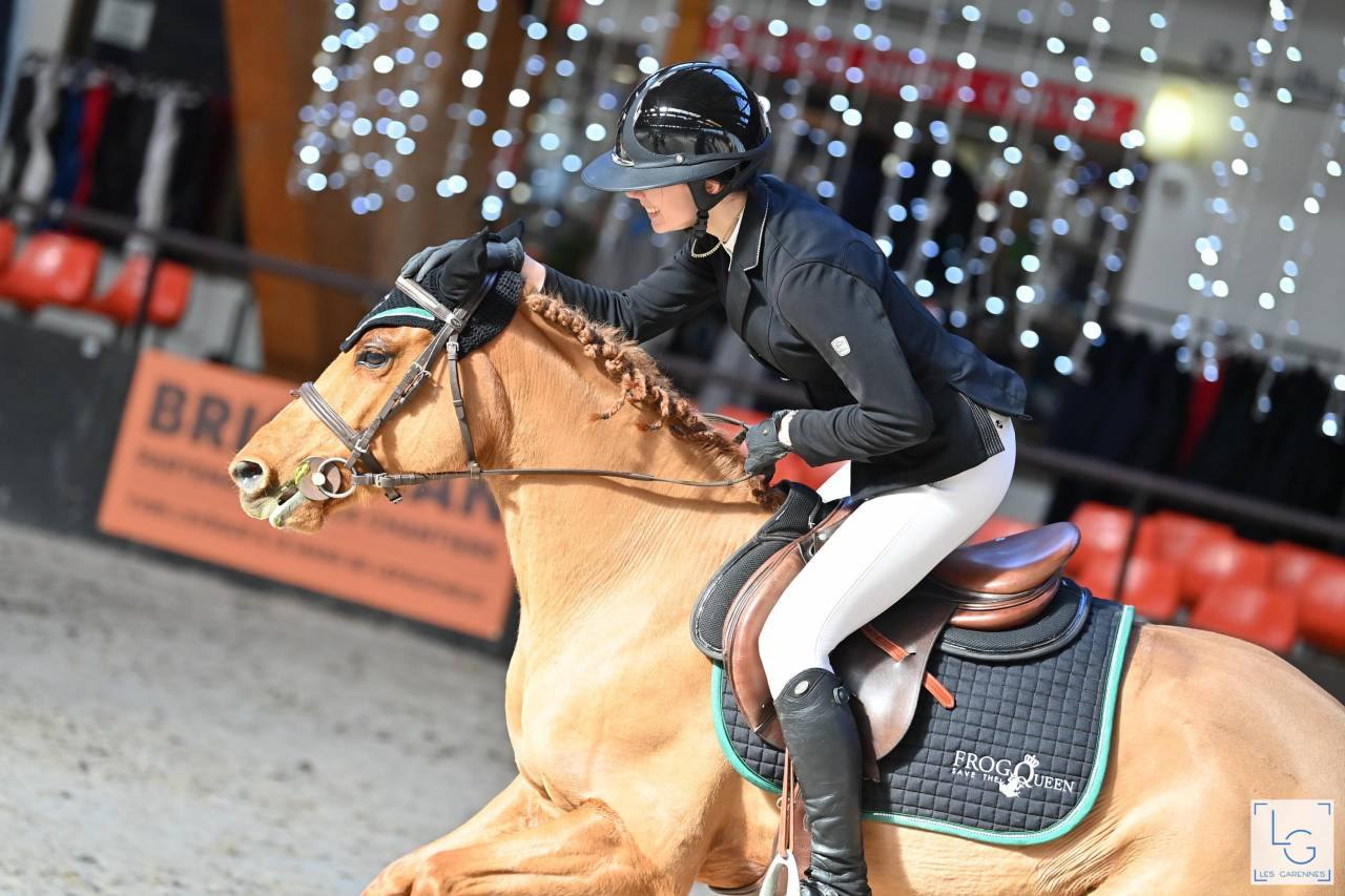 Yegua New Forest Préstamo 2011 Alazán