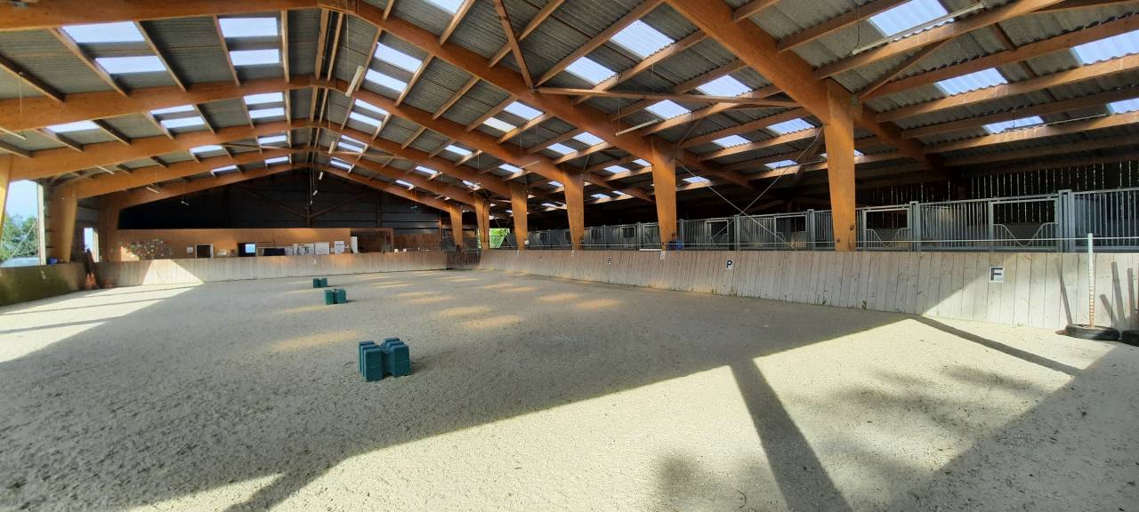Poniclub En venta Deux-S&egrave;vres