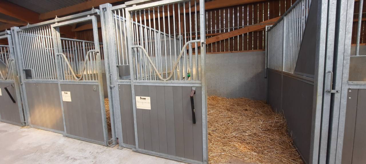 Poniclub En venta Deux-S&egrave;vres