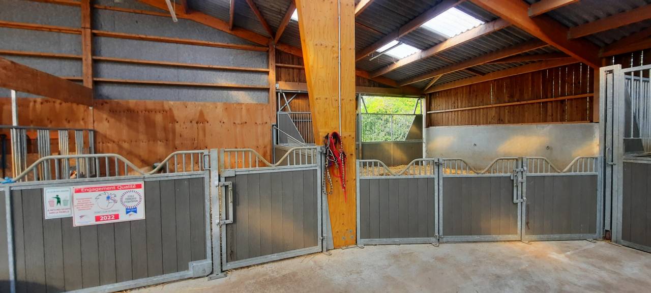 Poniclub En venta Deux-S&egrave;vres