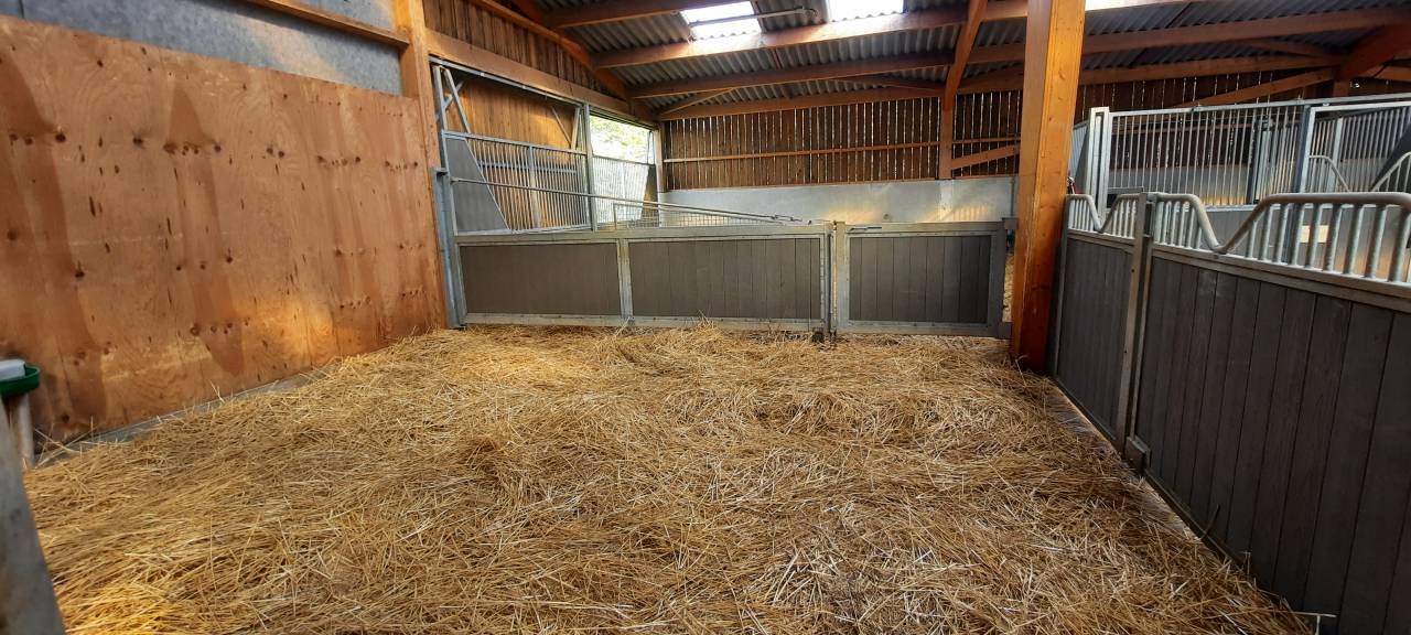 Poniclub En venta Deux-S&egrave;vres