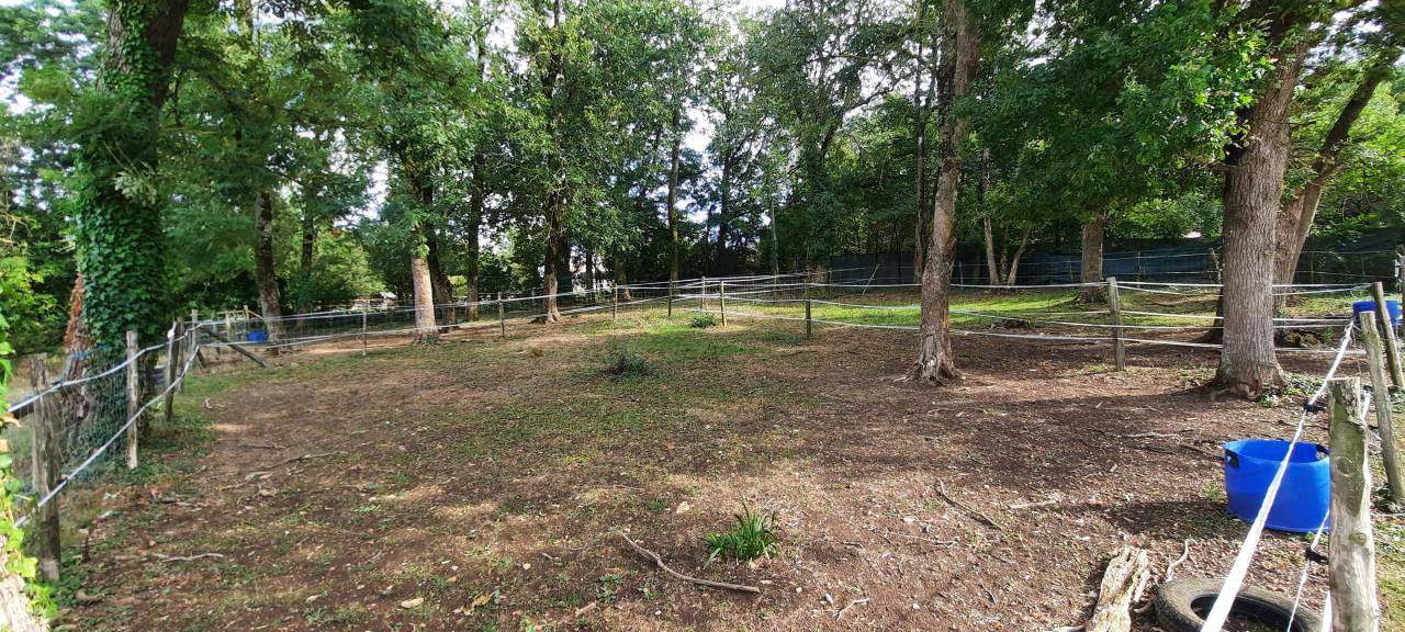 Poniclub En venta Deux-S&egrave;vres