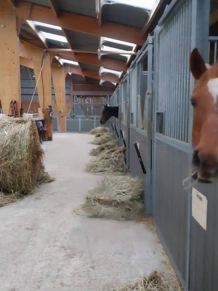 Poniclub En venta Deux-S&egrave;vres