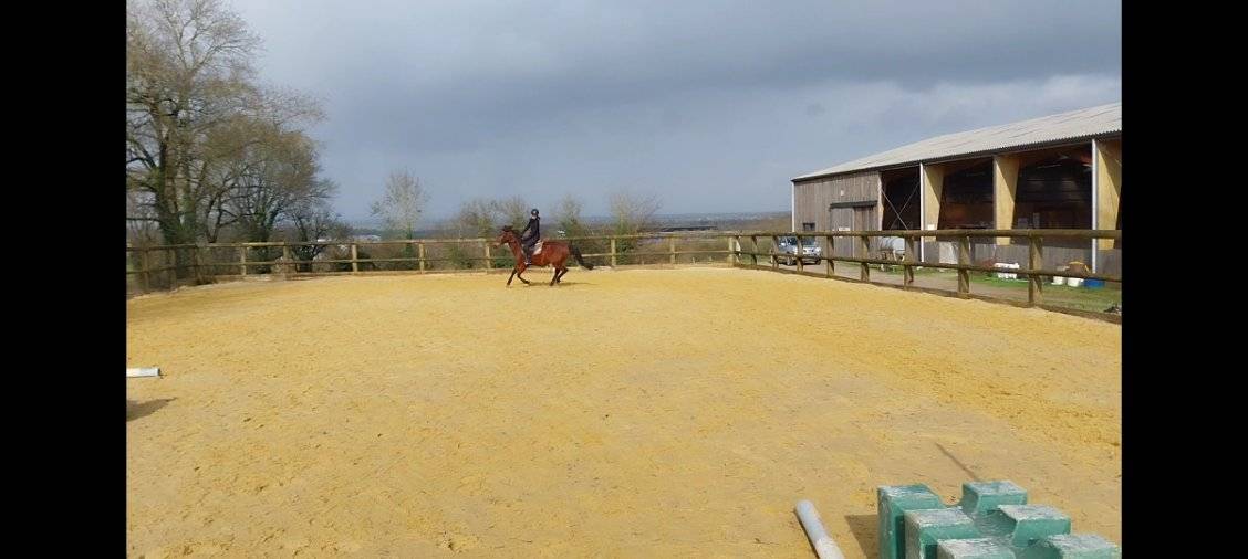 Poniclub En venta Deux-S&egrave;vres