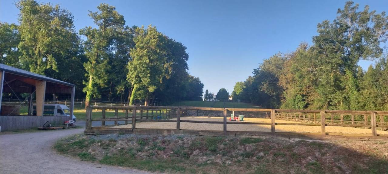 Poniclub En venta Deux-S&egrave;vres
