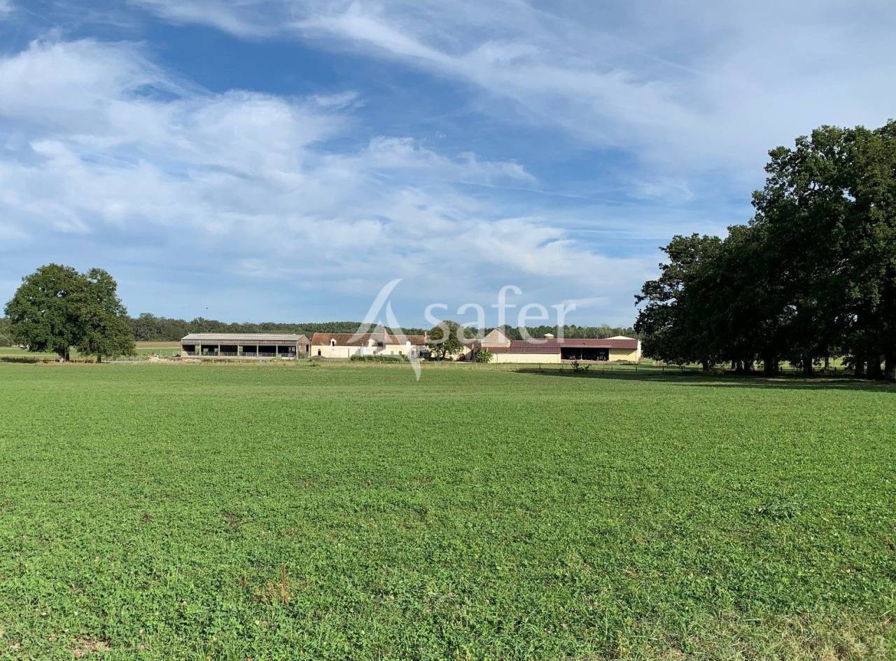 Explotación cerealista En venta Loir y Cher