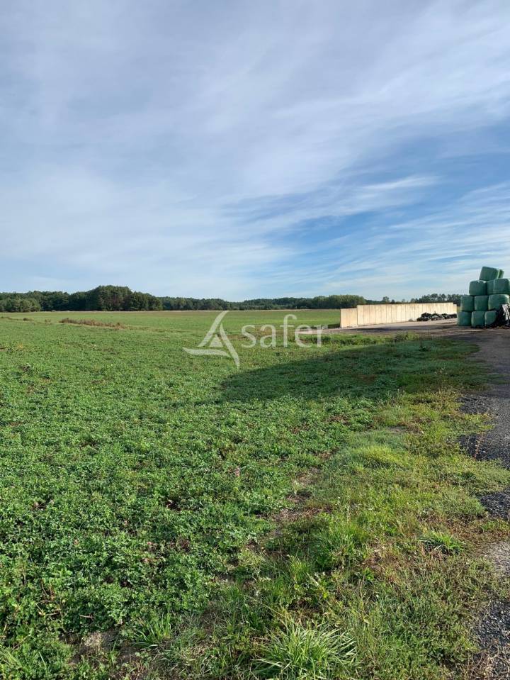 Explotación cerealista En venta Loir y Cher