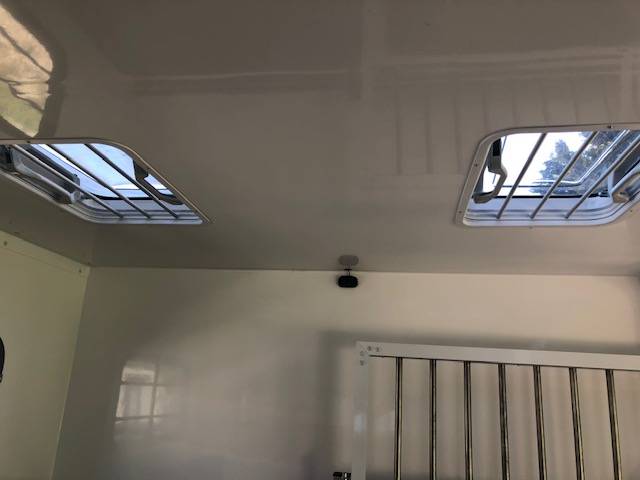 Furgoneta para caballos Trans Box New svelto 5  2024 Nuevo