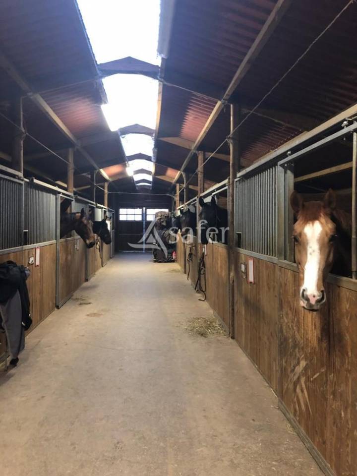 Propiedad ecuestre En venta Aveyron