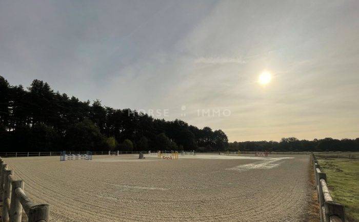 Acaballadero En venta Loiret