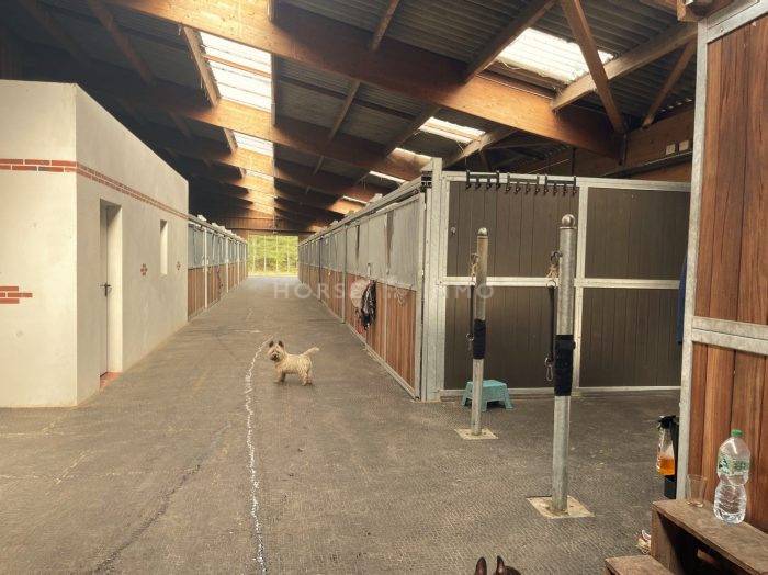 Acaballadero En venta Loiret