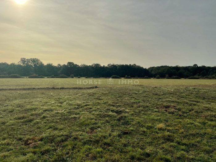 Acaballadero En venta Loiret