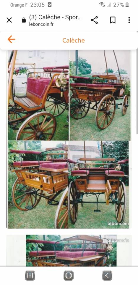 Coche enganches - Break  Bernois Suisse 1880 