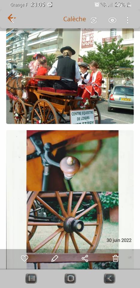 Coche enganches - Break  Bernois Suisse 1880 