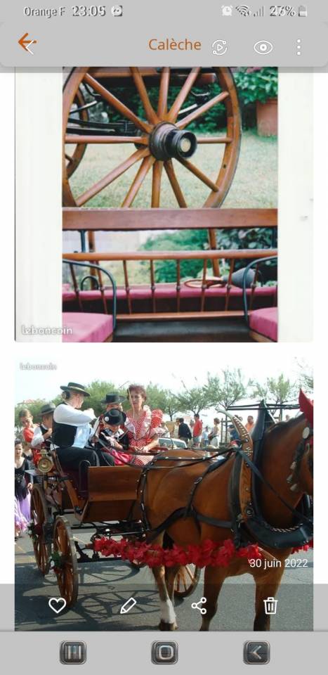 Coche enganches - Break  Bernois Suisse 1880 