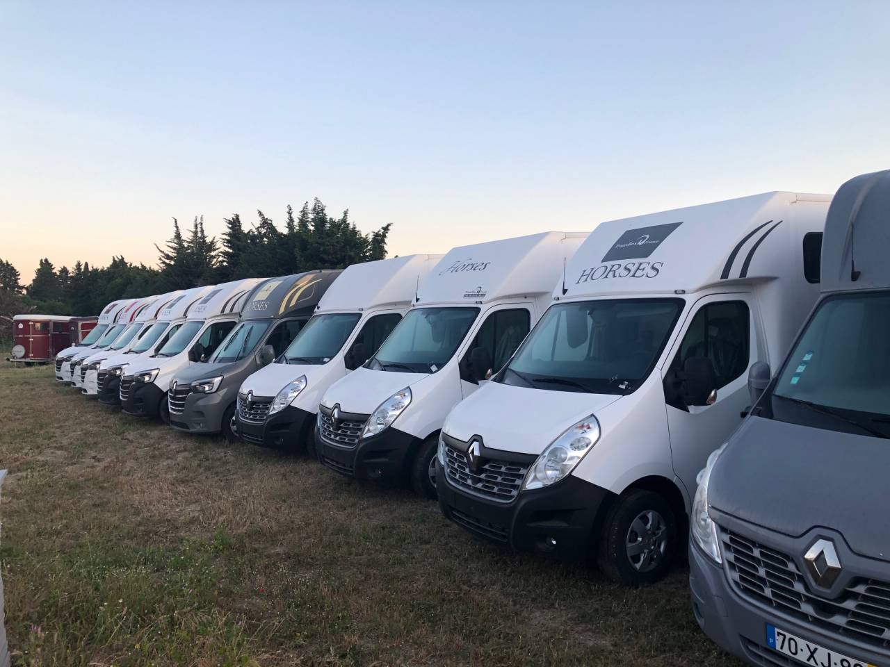 Furgoneta para caballos Trans Box NEW SVELTO 2023 De segunda mano