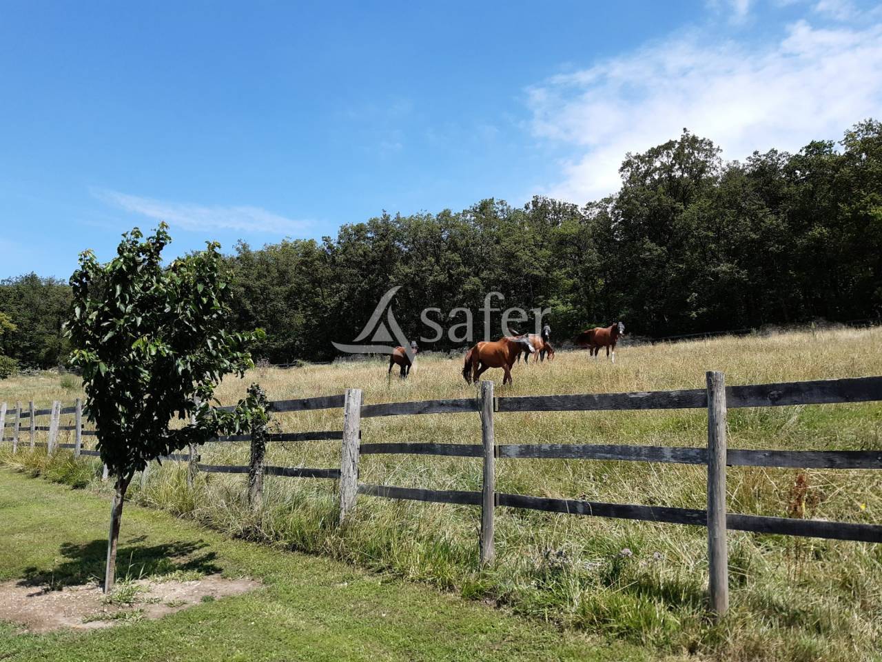 Propiedad ecuestre En venta Vienne