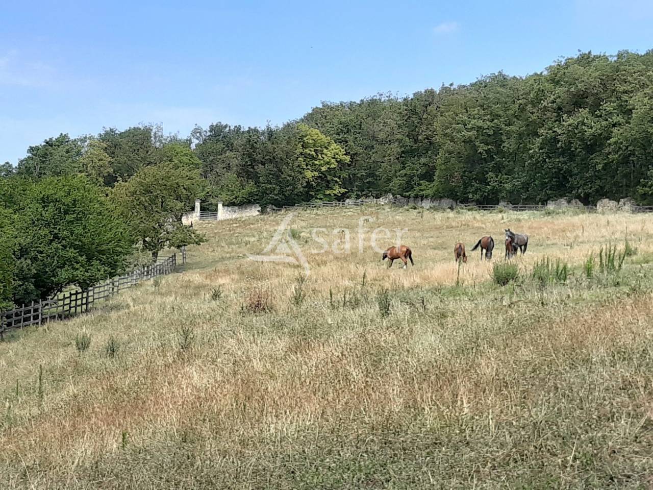 Propiedad ecuestre En venta Vienne
