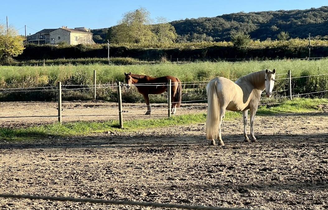 Bonita residencia ecuestre En venta Gard