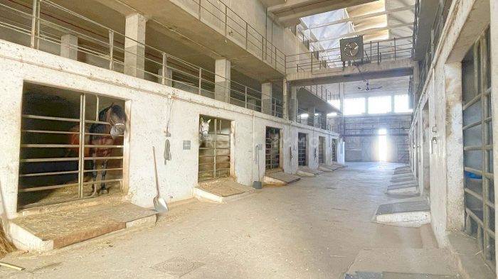 Propiedad ecuestre En venta Bocas del Ródano
