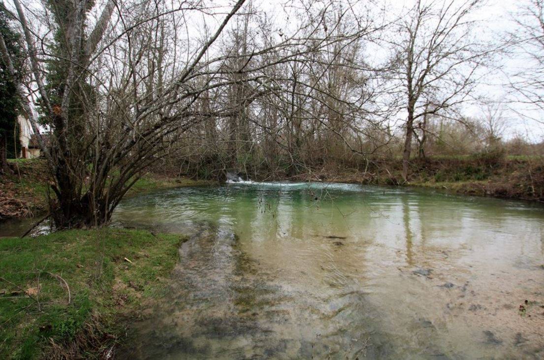 Bonita residencia ecuestre En venta Tarn y Garona