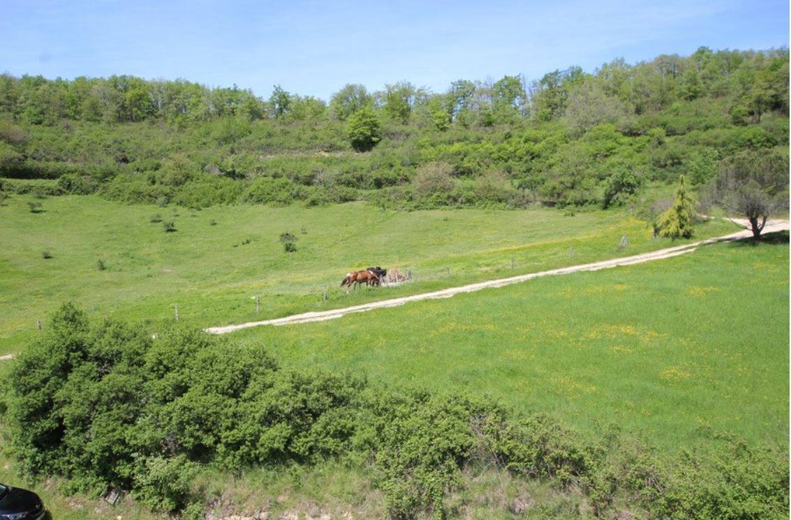 Propiedad ecuestre En venta Ariège