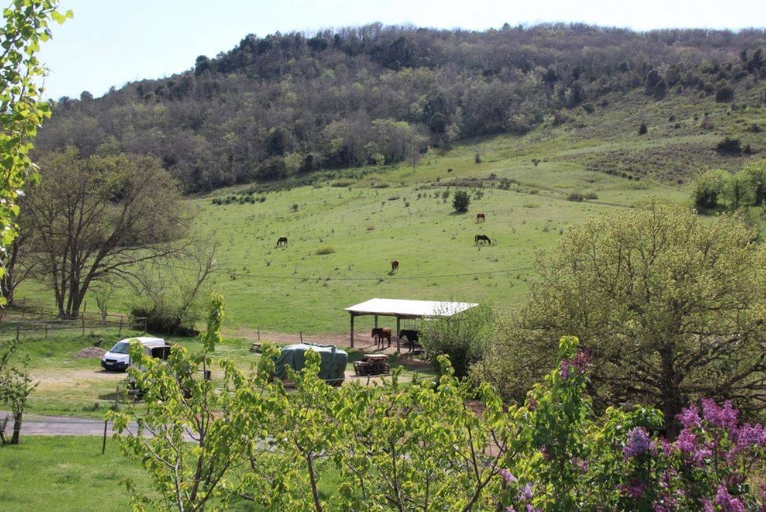 Albergue ecuestre En venta Aude