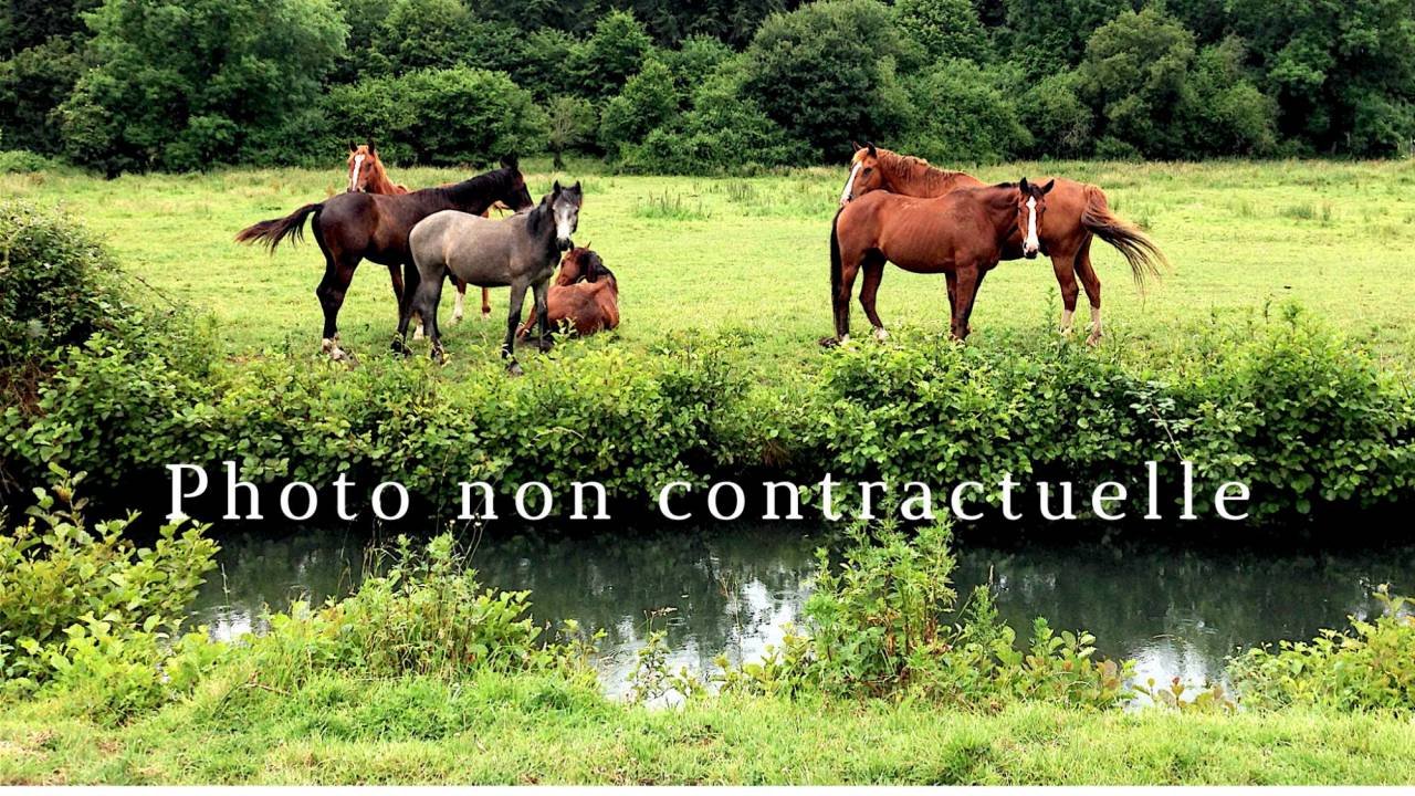 Propiedad ecuestre En venta 