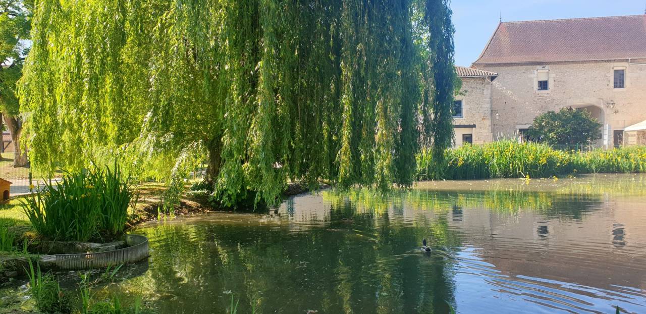 Propiedad ecuestre En venta 