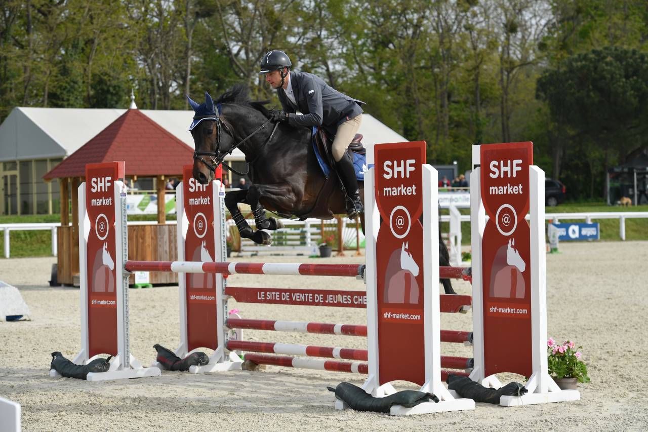 Jaguar d'hebene  - Silla Francés 2019 por montender