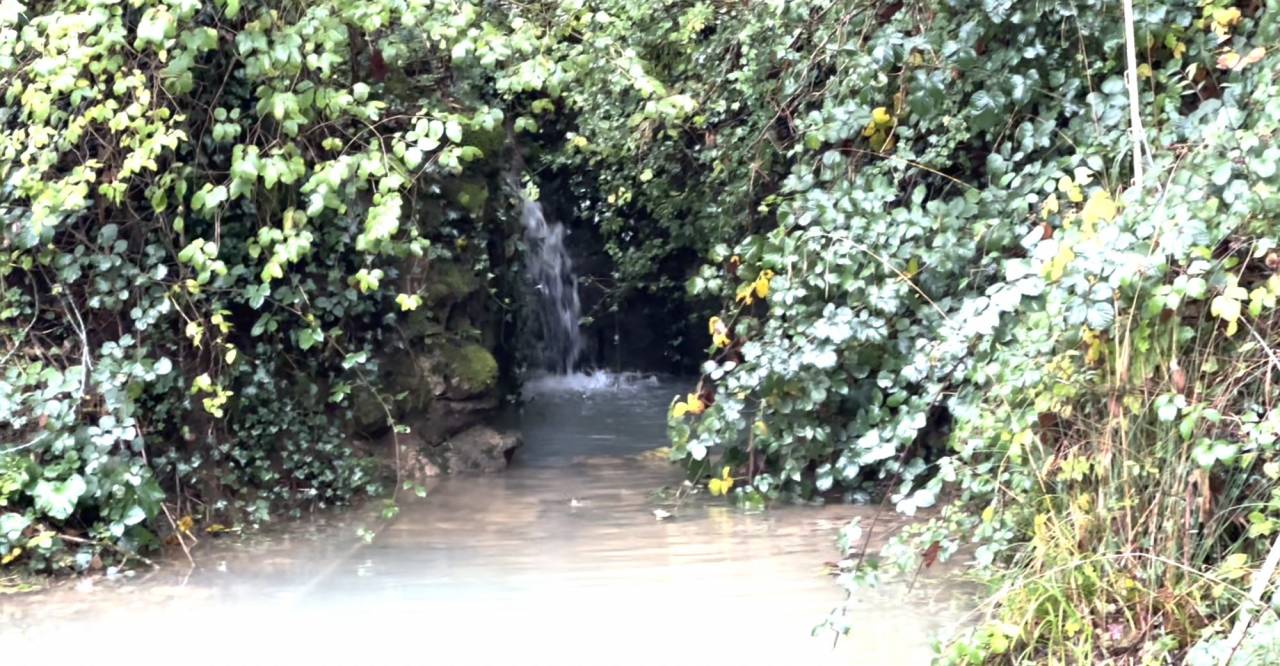 Propiedad ecuestre En venta Ain