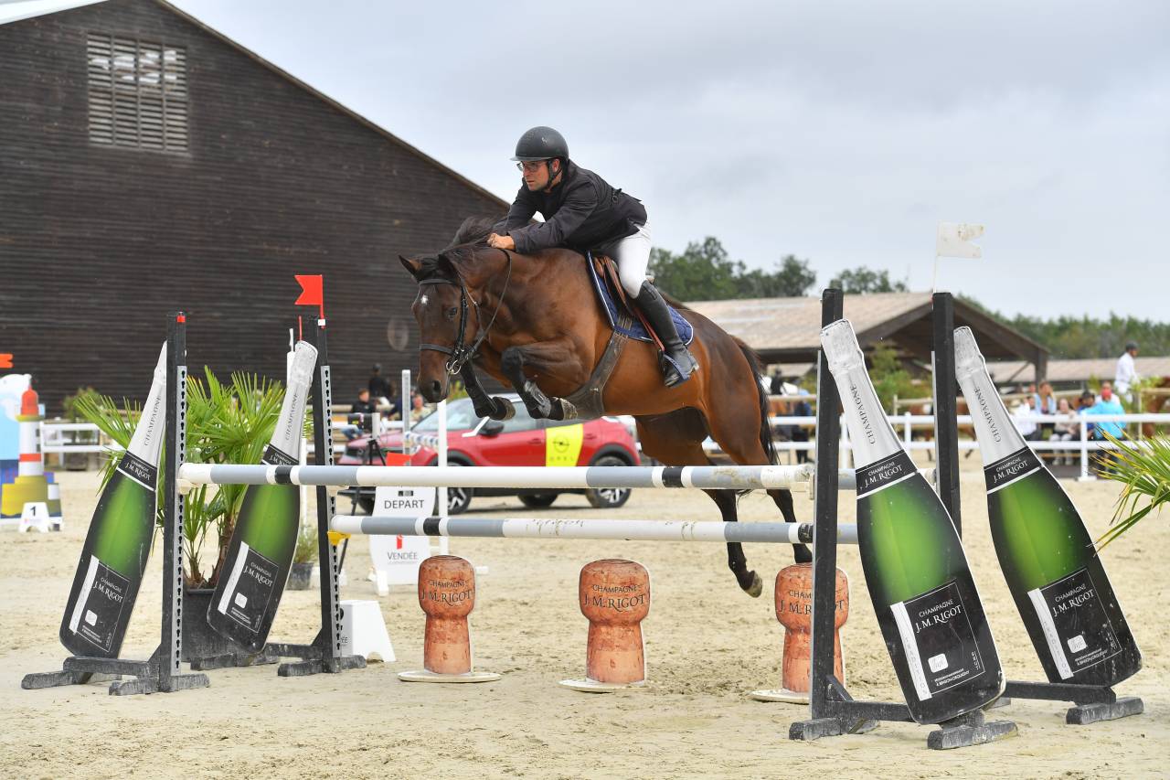 Yegua AQPS En venta 2018 Bayo