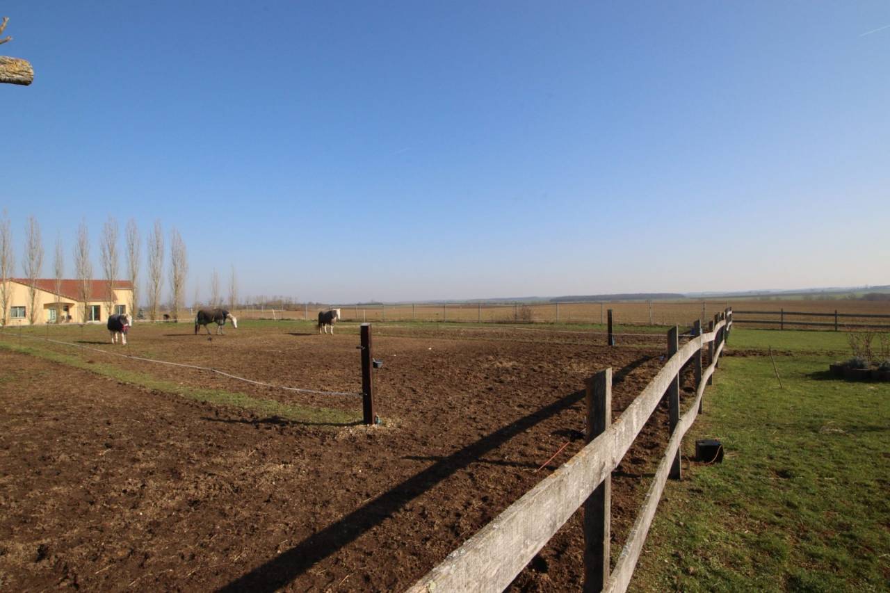 Propiedad ecuestre En venta Meurthe y Mosela