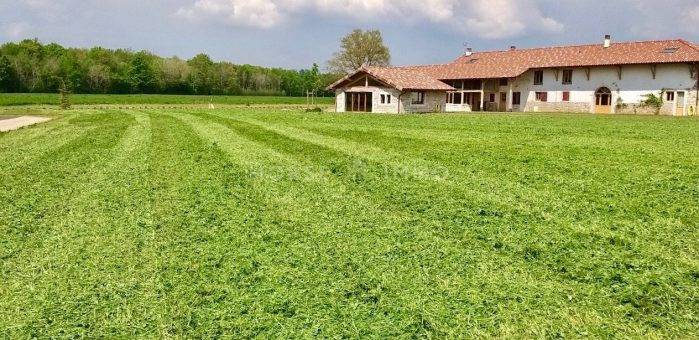 Propiedad ecuestre En venta Ain